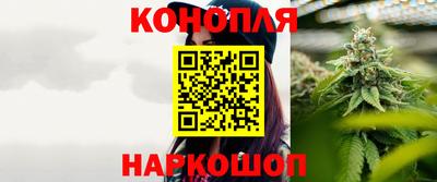 прущие грибы Лесосибирск