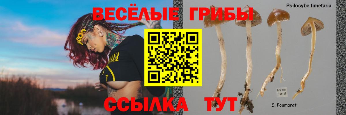 Галлюциногенные грибы прущие грибы Топки