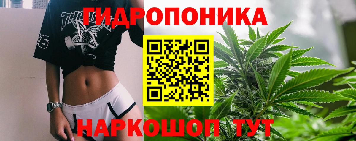 Конопля ГИДРОПОН  Конопля MAZAR  Топки  Вход с VPN  Конопля гибрид 